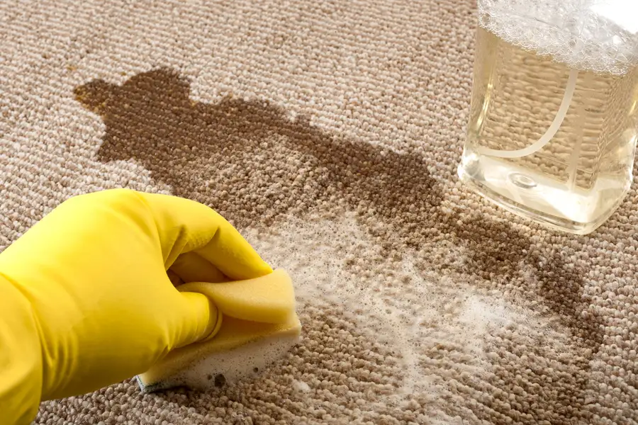 Local Stain Removal Orlando FL